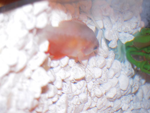 DSCN0779.JPG