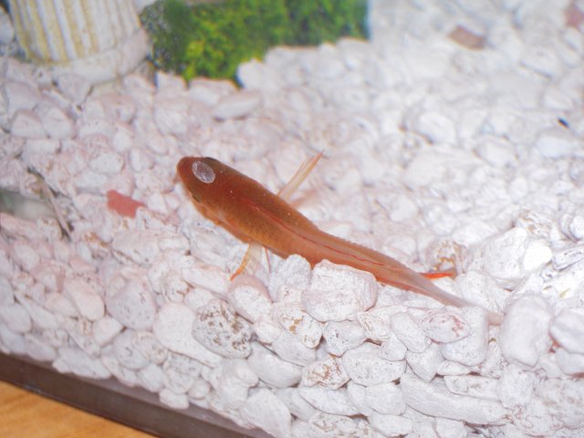 DSCN0784.JPG
