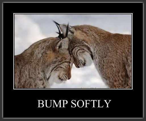 bump softly.jpg