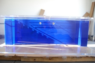 Tank1 002.JPG