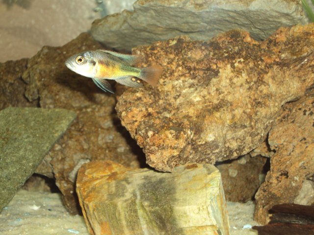 DSC00025.JPG