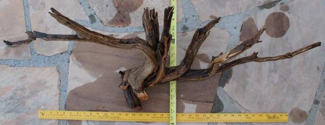 XRG STUMP 10 REVERSE 0001.JPG