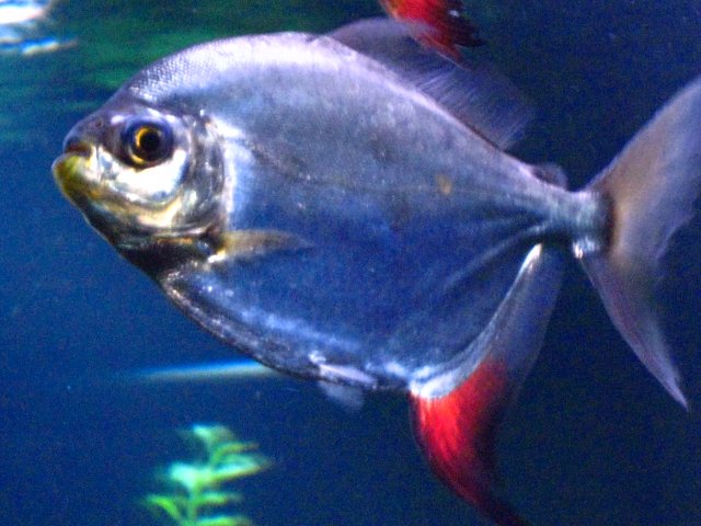 IMG_1713.JPG