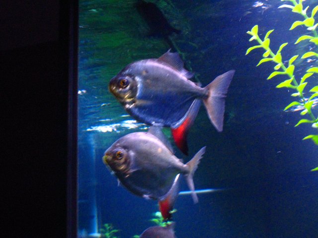 IMG_1714.JPG