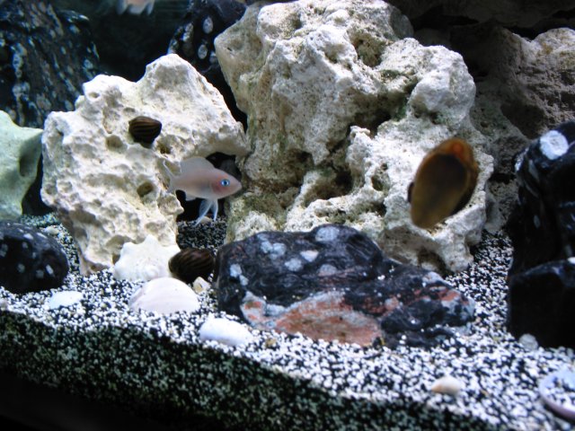 102-0210_IMG.JPG