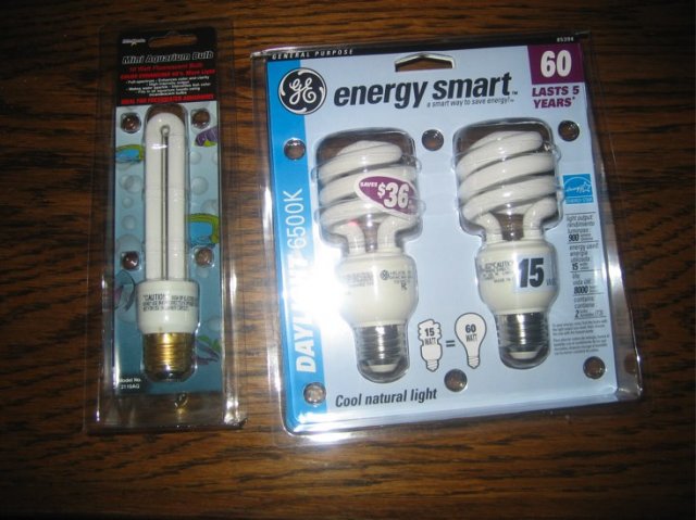 daylightCFLsmall.jpg