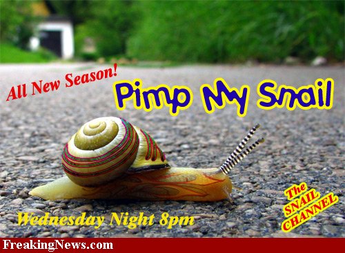 Pimp-My-Snail--31811.jpg Pimp-My-Snail--31811.jpg