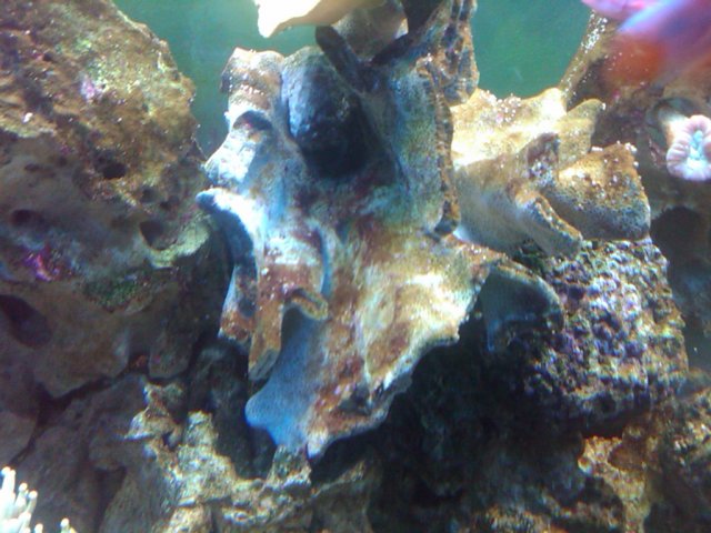 IMG00046-20090419-1946.jpg IMG00046-20090419-1946.jpg