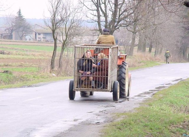 oldladies-incage.jpg