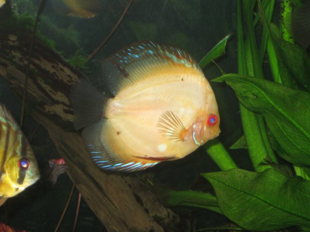 april2009 028.jpg