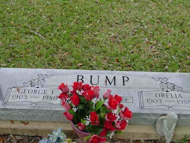 bumpD.jpg bumpD.jpg