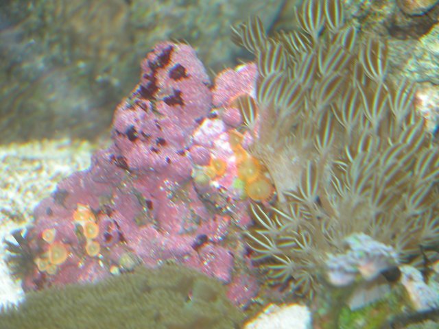 009-sm.jpg 009-sm.jpg