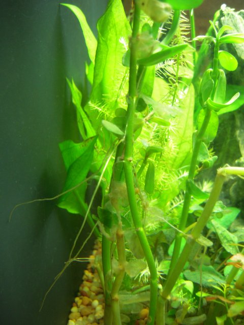 DSCN0923.JPG