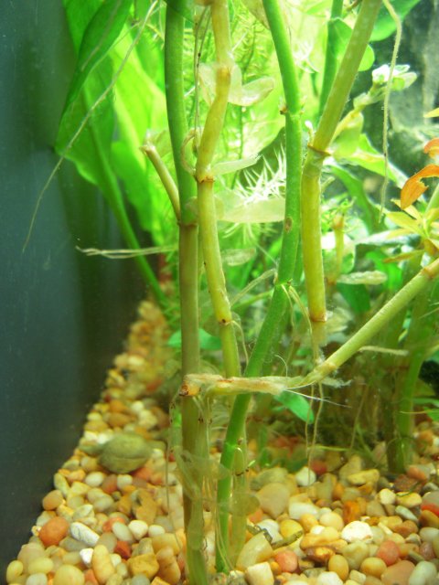 DSCN0924.JPG