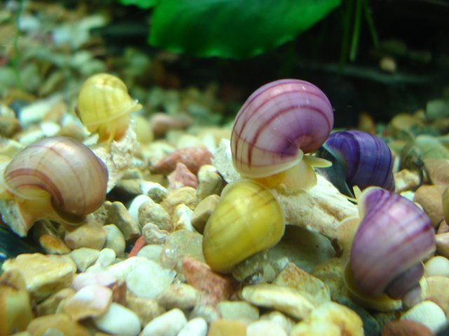 boogie 4 027.JPG boogie 4 027.JPG