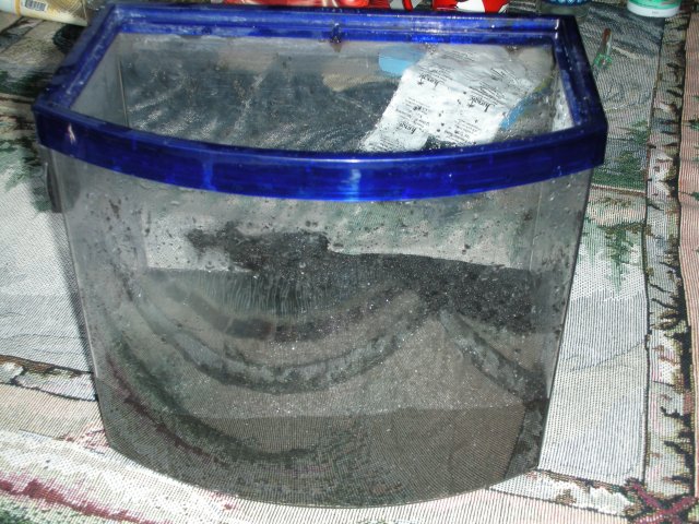tank substrate.JPG tank substrate.JPG