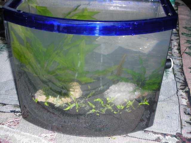 tank 1.JPG tank 1.JPG