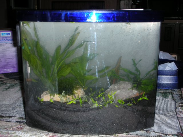 tank 3.JPG tank 3.JPG