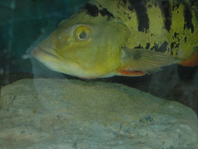 DSC_2323.JPG