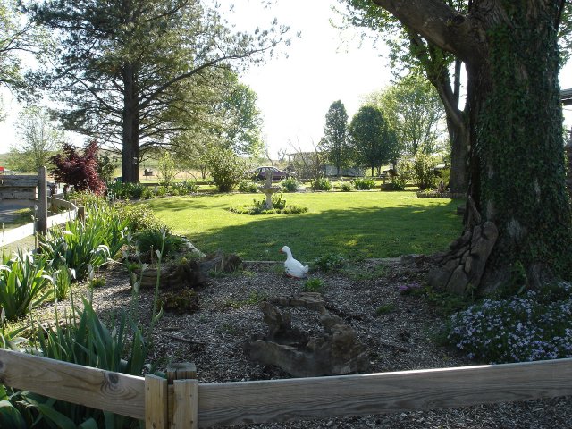 yard 024.JPG