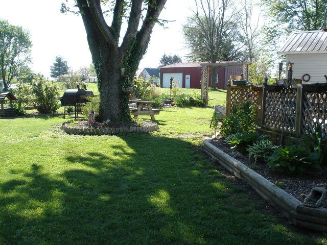 yard 023.JPG