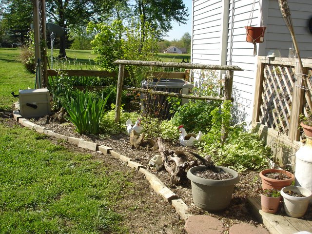 yard 031.JPG