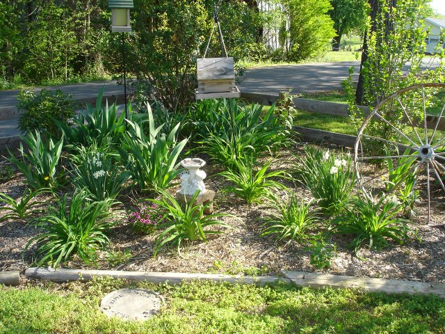 yard 033.JPG