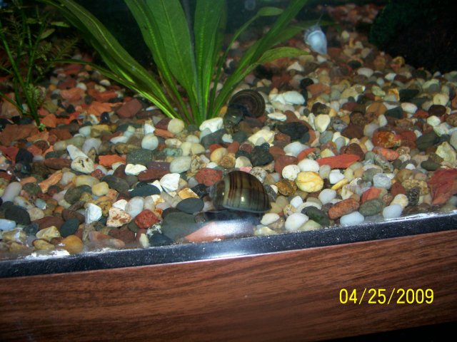 000_2621.jpg