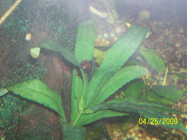 000_2624.jpg
