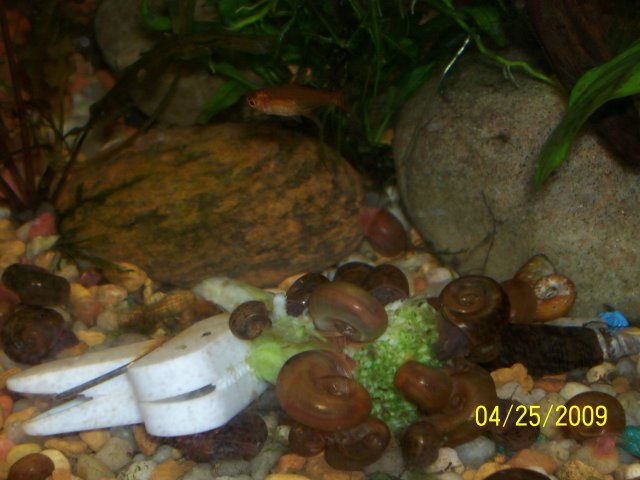 000_2625.jpg