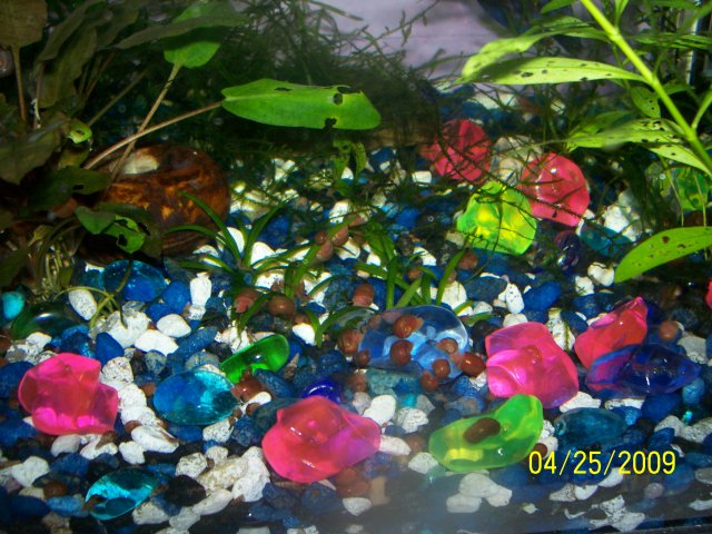 000_2629.jpg