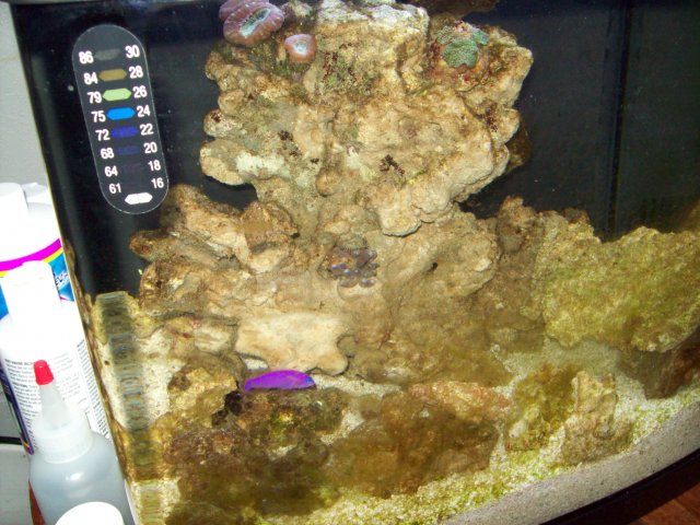 100_0142.JPG
