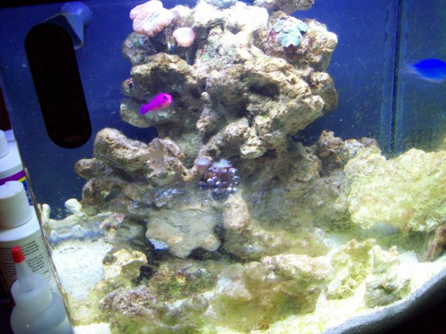 100_0143.JPG