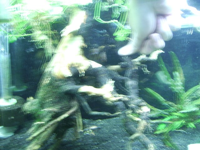 SANY0052.JPG SANY0052.JPG