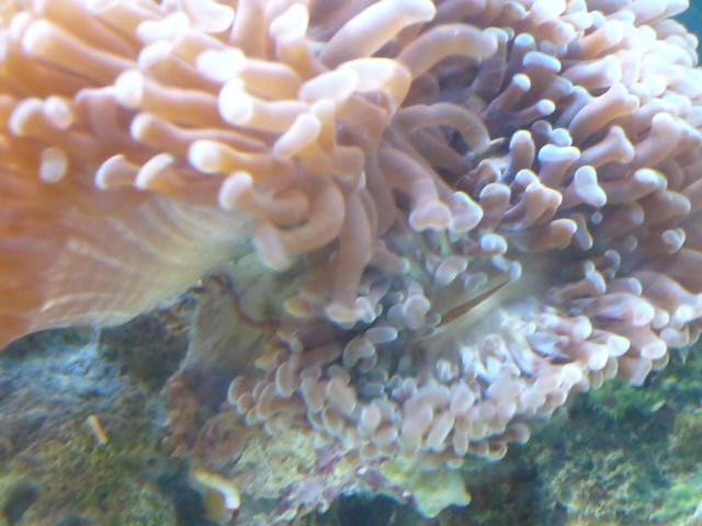 P1010861.JPG