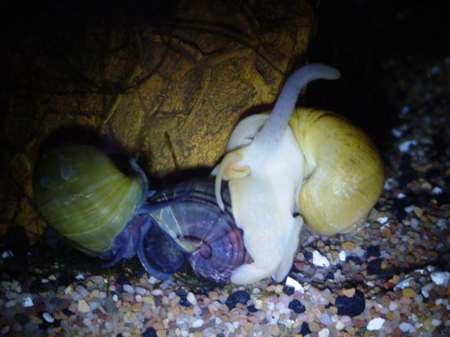 5 gallon  and Kayleigh 532.jpg
