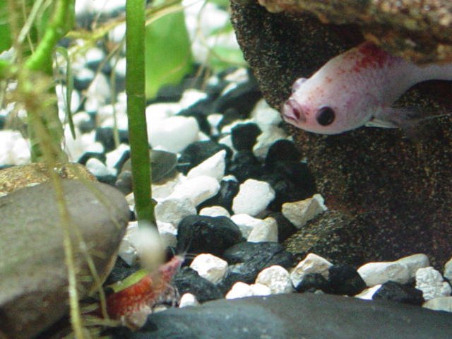 5 gallon  and Kayleigh 099.jpg