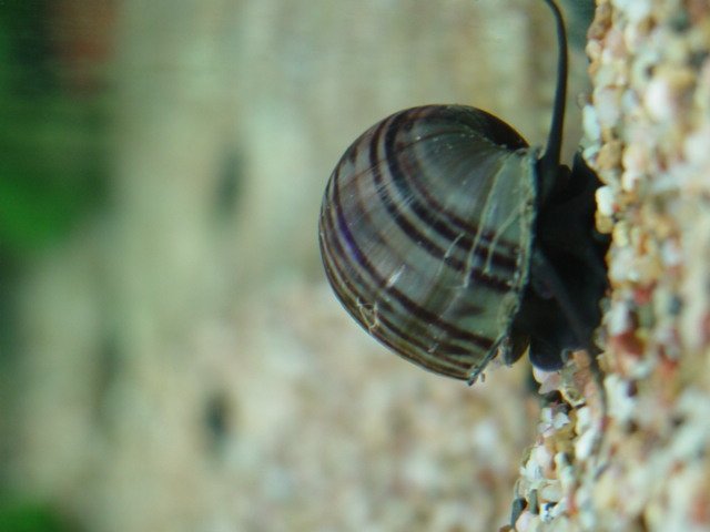 5 gallon  and Kayleigh 283.jpg