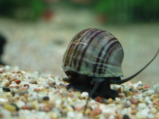 5 gallon  and Kayleigh 285.jpg