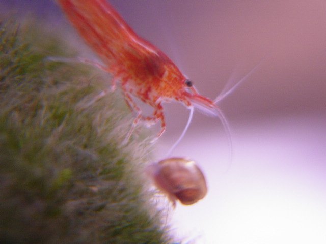 5 gallon  and Kayleigh 424.jpg