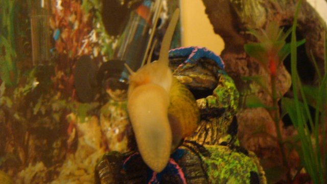 DSC04853.JPG