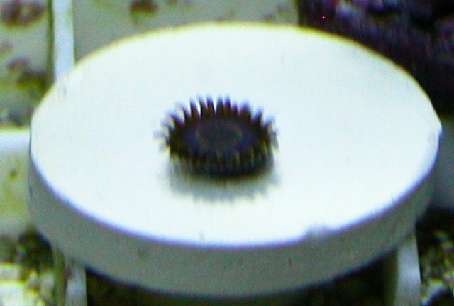 026-csm.jpg