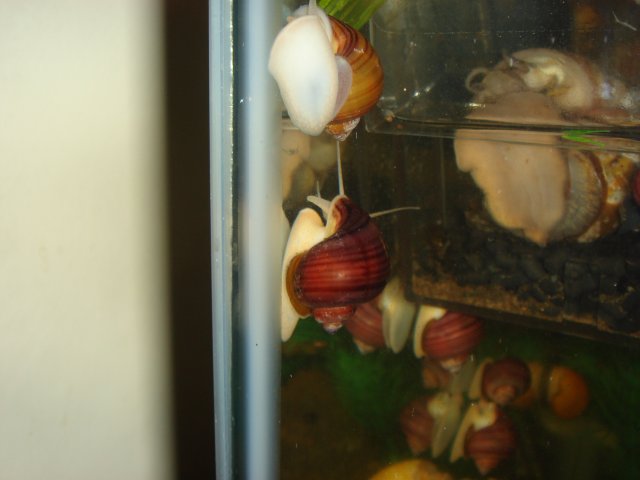 DSC02949.JPG