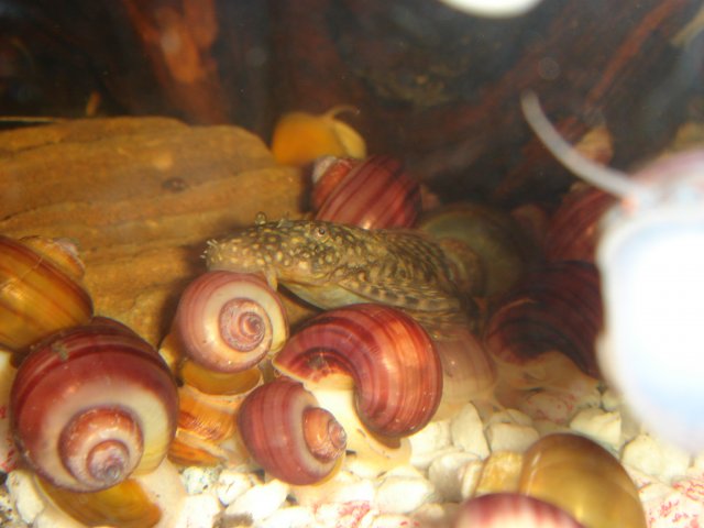 DSC03170.JPG
