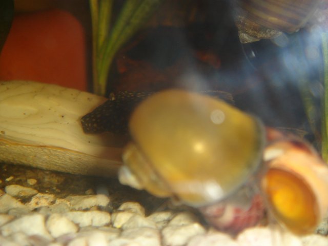 DSC03312.JPG