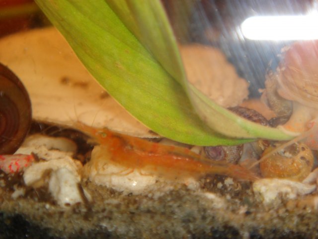 DSC03388.JPG