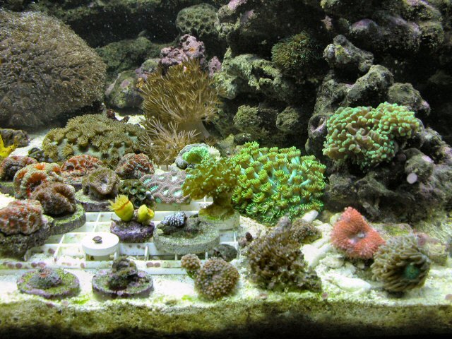 024-sm.JPG