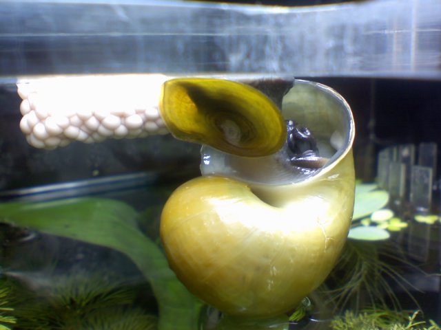 0428090641.jpg