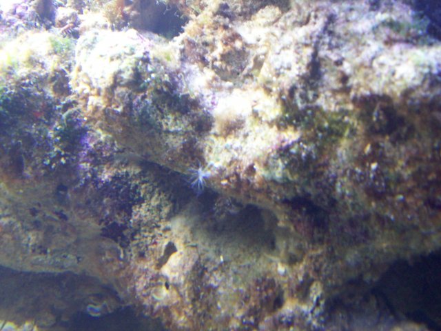 100_0161.JPG