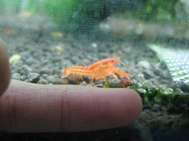 IMG_1662.JPG